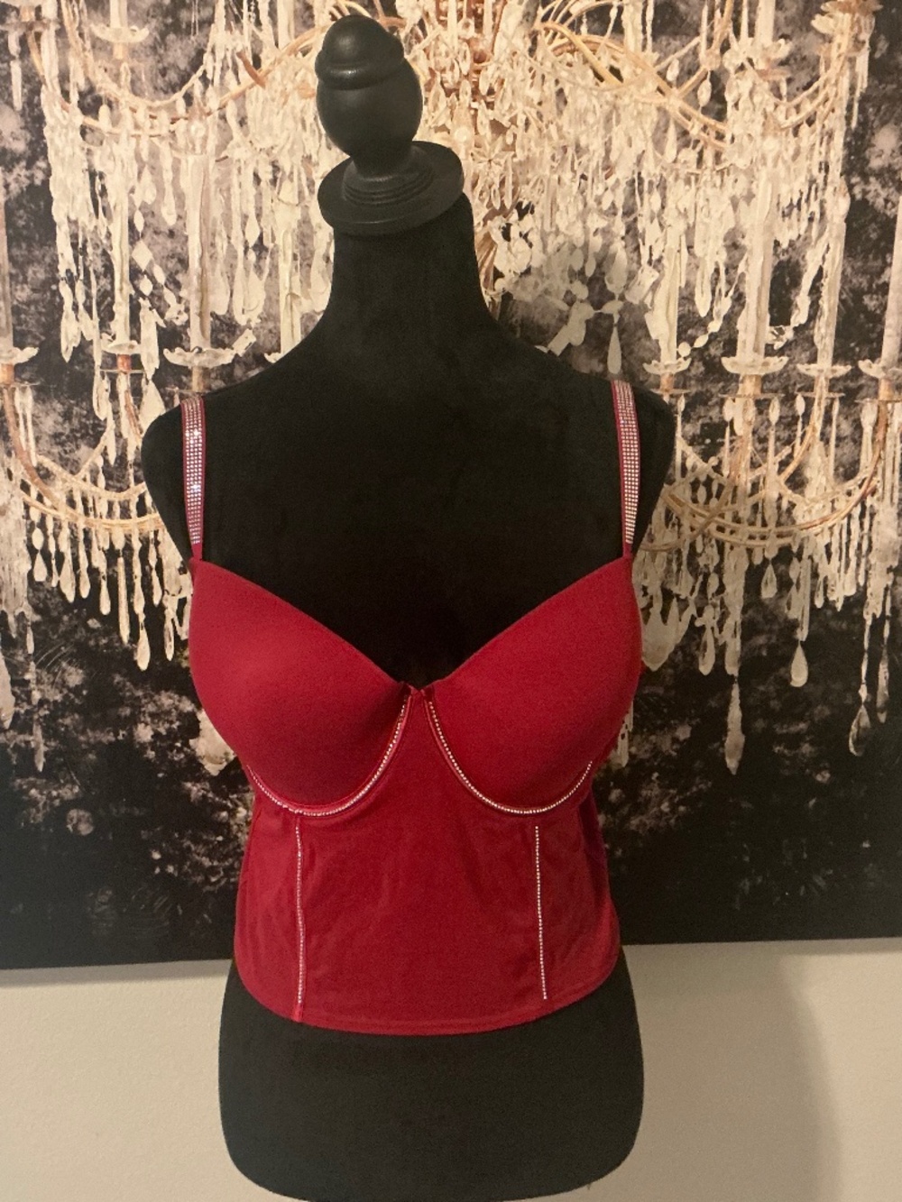 Bustier Bra with Crystal Embellishments